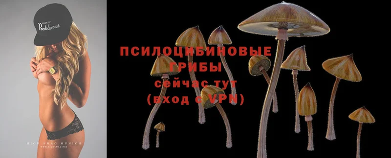 Галлюциногенные грибы MAGIC MUSHROOMS  Салехард 